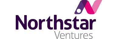 Northstar ventures logo