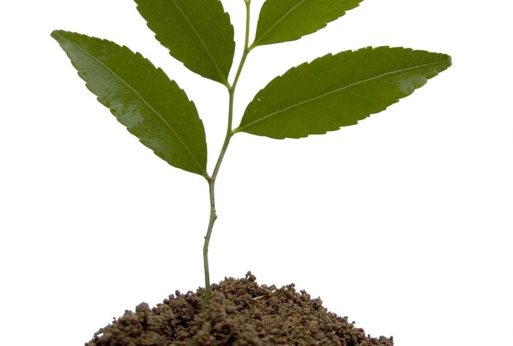 Plant the seed through Seedrs