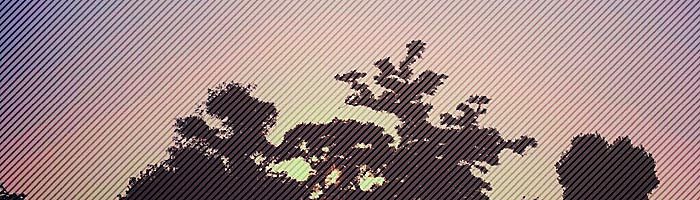 0-fsqQ8OqETtNAD_0D