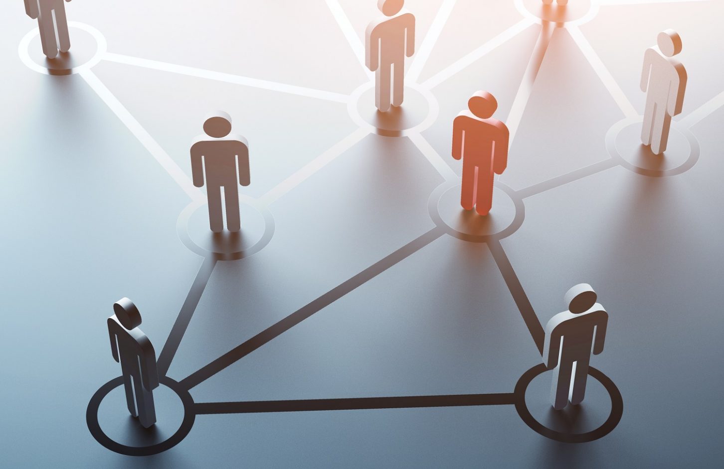 Network