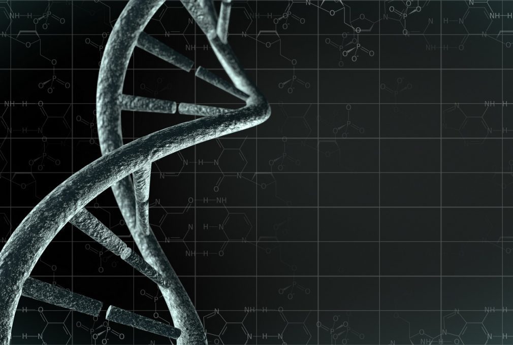 DNA