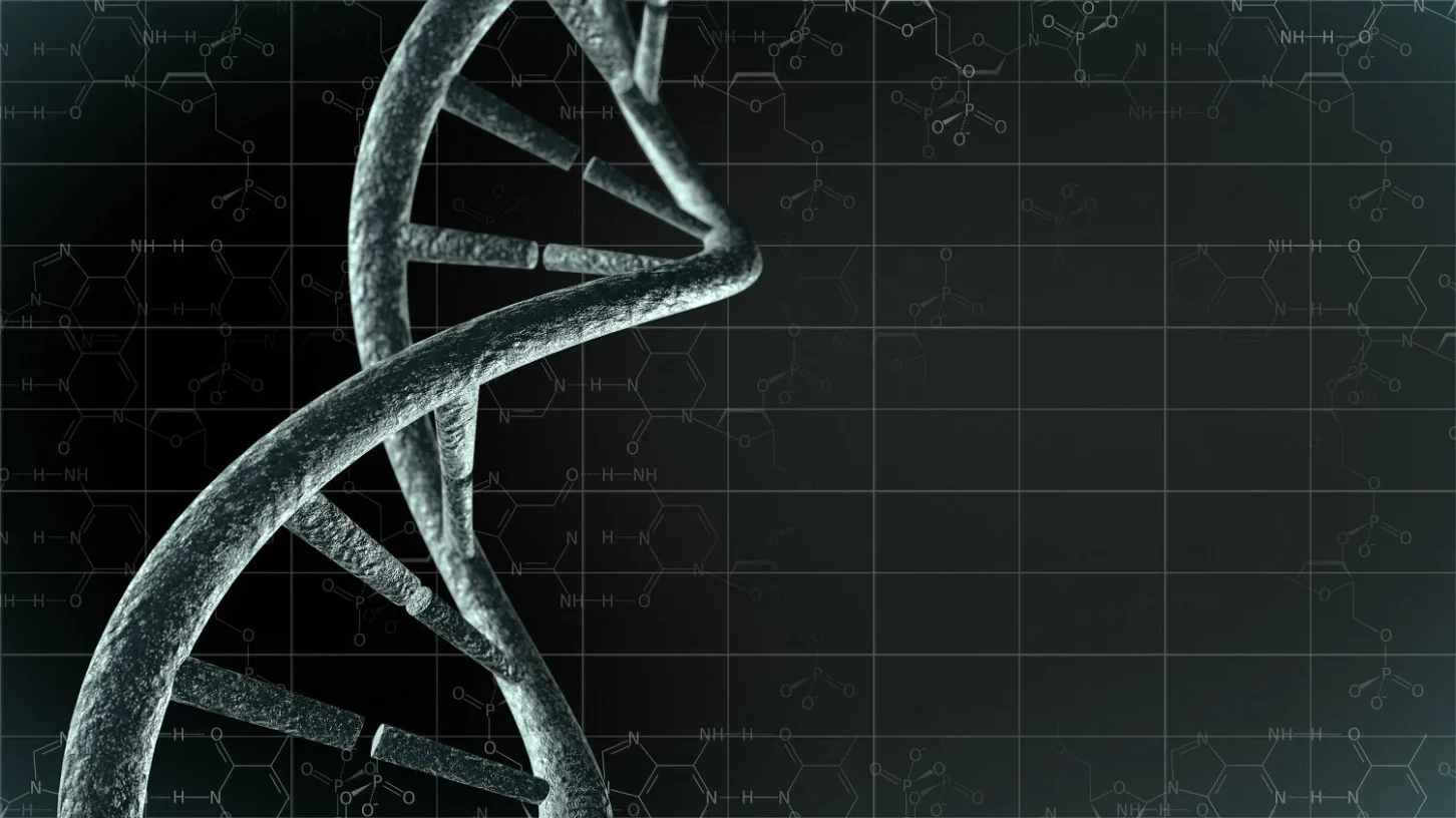 Daniel Dna 11 steps to building the nation's digital DNA