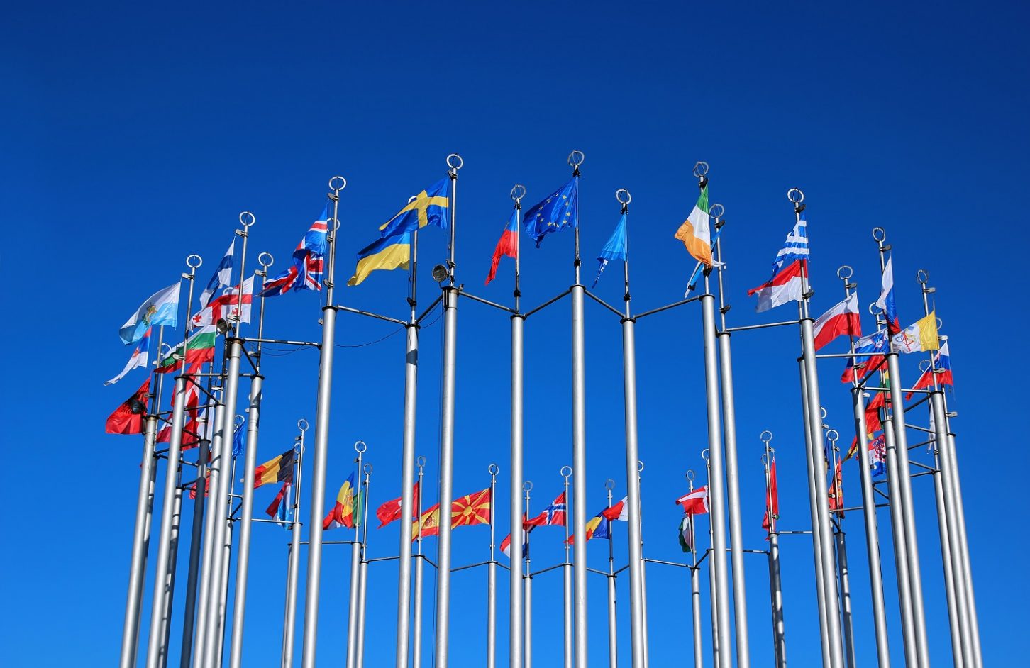 EU flags