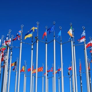 EU flags