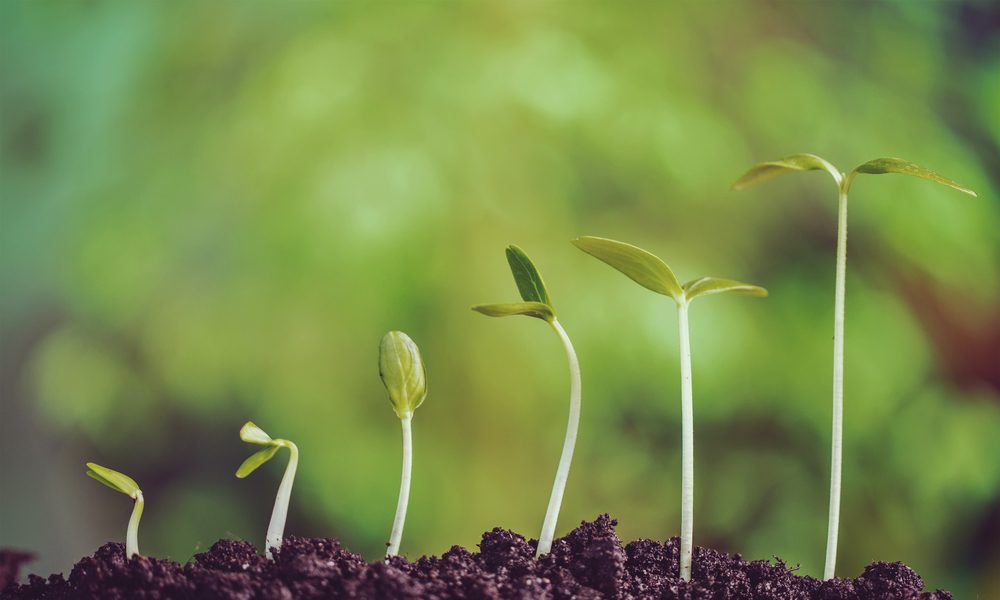 growth