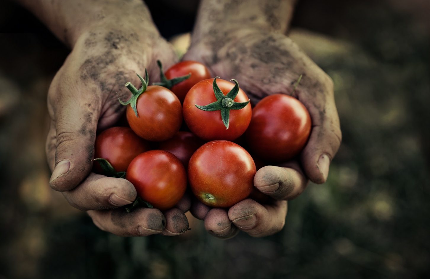 agricultural tech