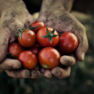 agricultural tech