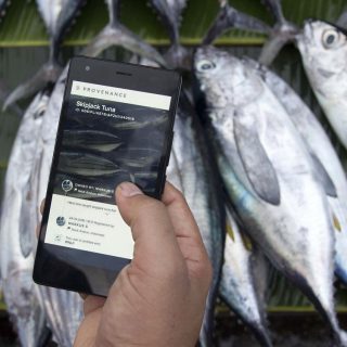 Provenance tracking tuna
