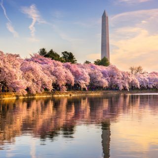 Washington