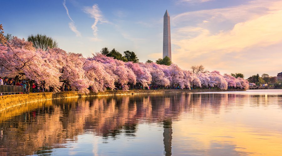 Washington