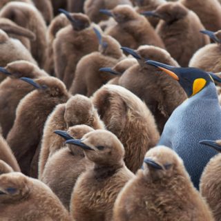 standing out