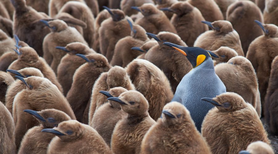standing out