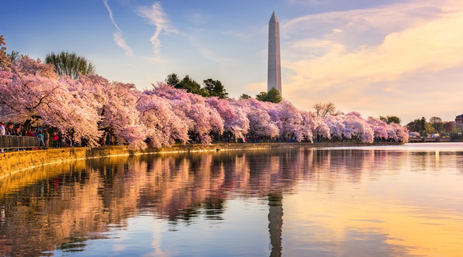 UK Washington