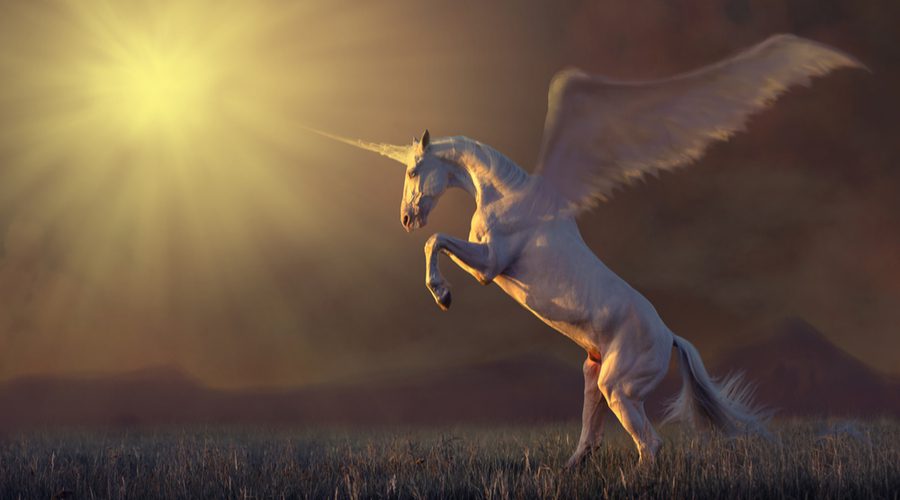 tech unicorn