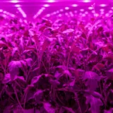 Light Science Technologies