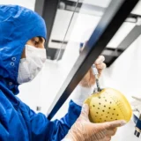 Carmat artificial heart