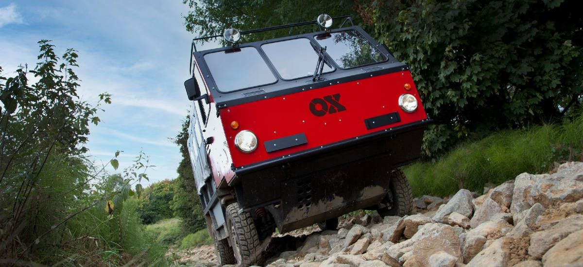 OX