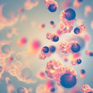epitopea funding