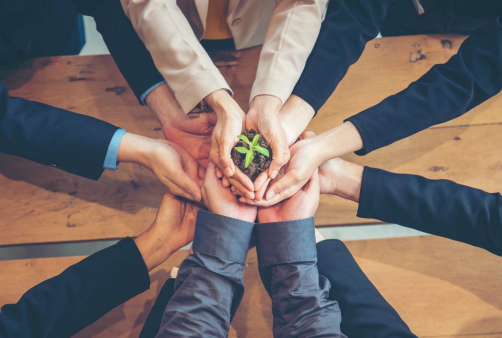 sustainability small businesses