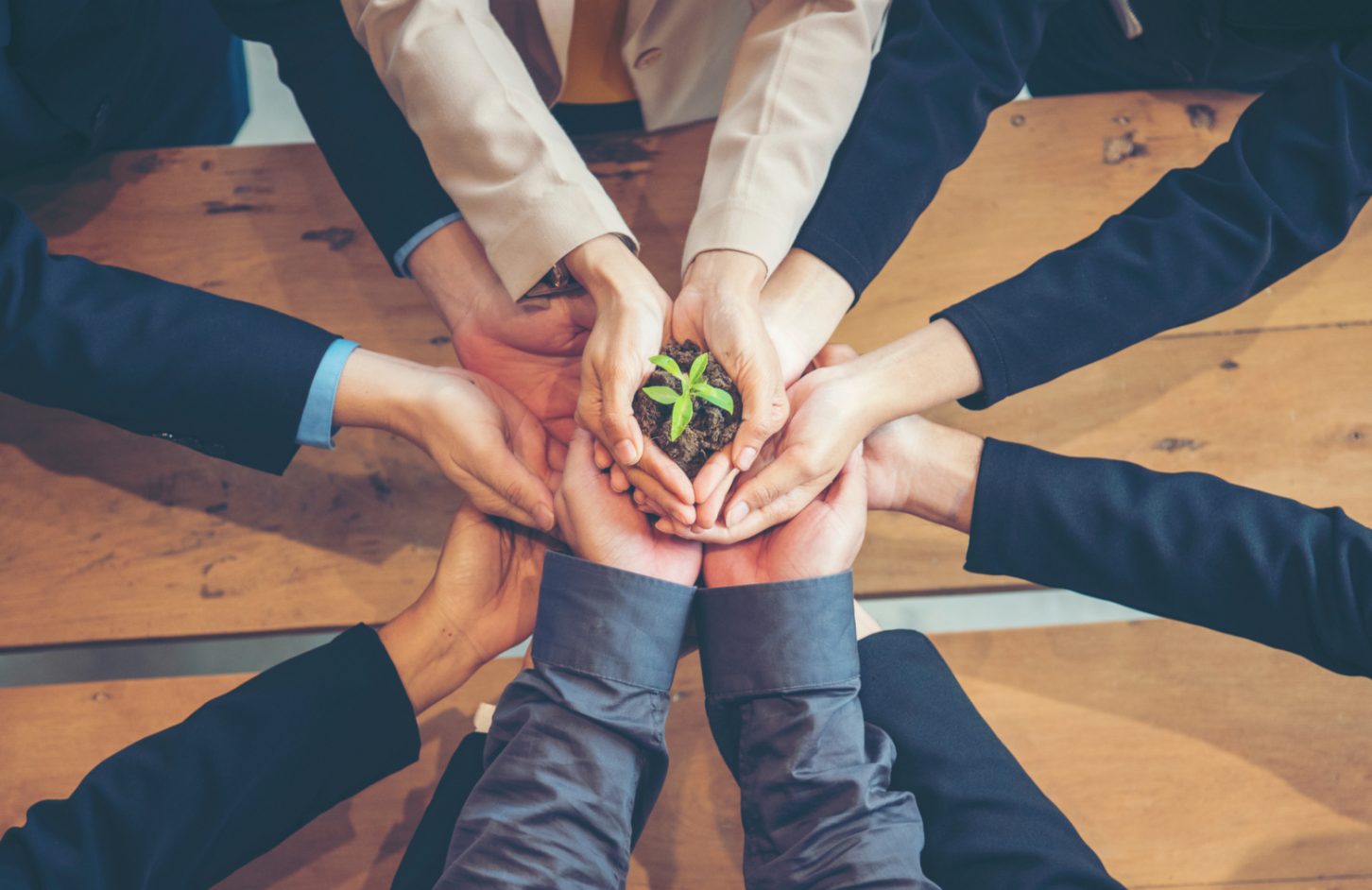 sustainability small businesses