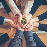 sustainability small businesses