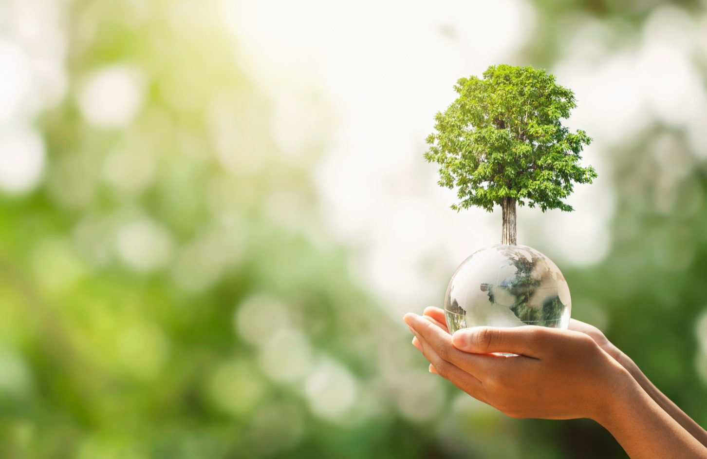 Earth Day