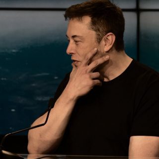 Elon Musk MP