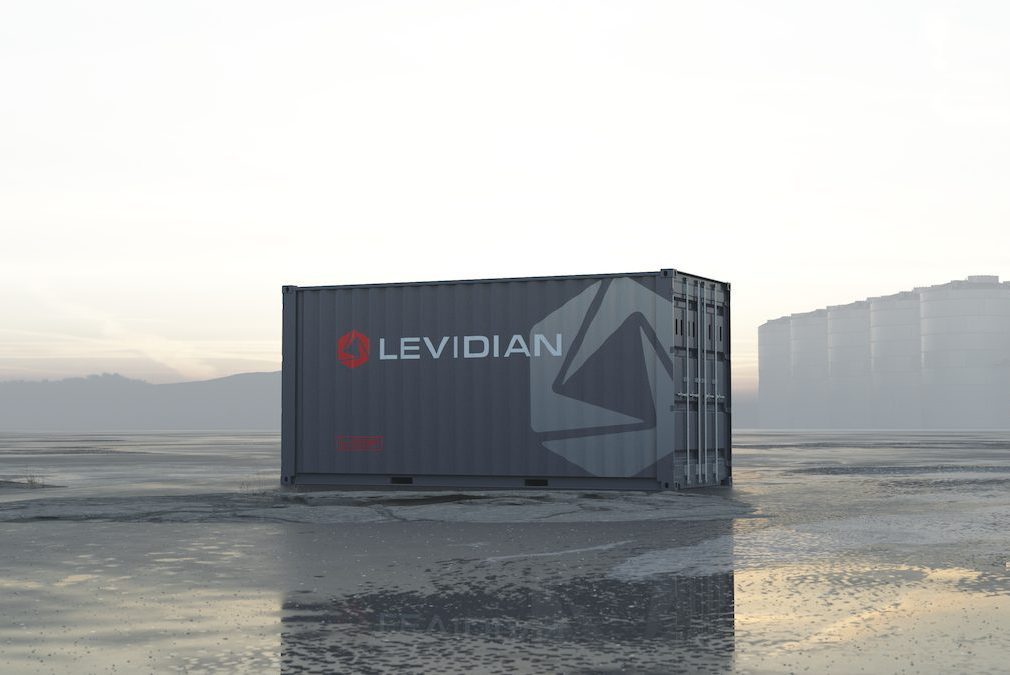 levidian loop