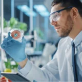 Synthesis Capital fund