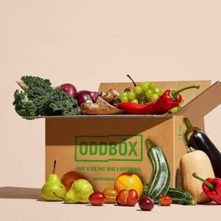 Oddbox Mintago