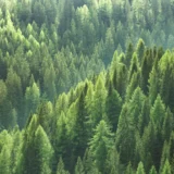 Lightrock Climate Impact Fund