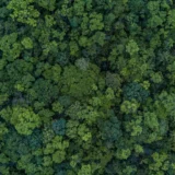 climate tech crowdfunding Seedrs