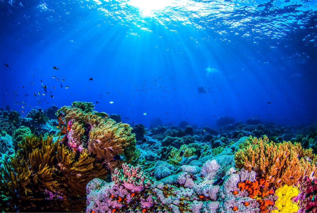 Ocean 14 capital blue economy