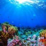 Ocean 14 capital blue economy