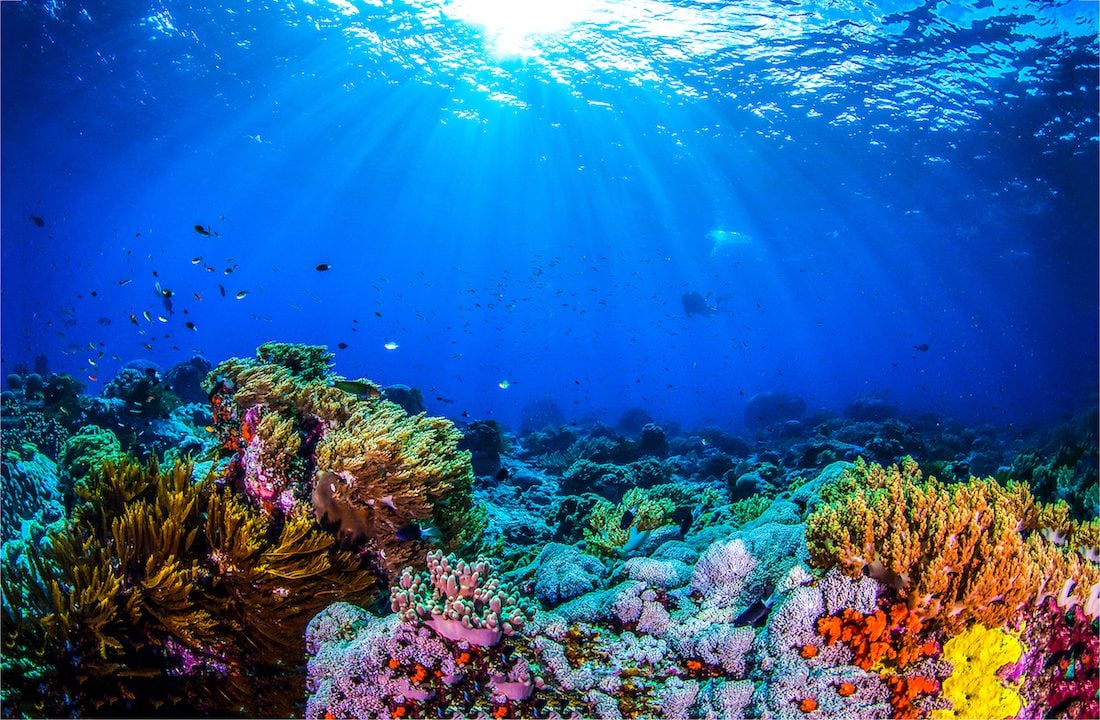 Ocean 14 capital blue economy
