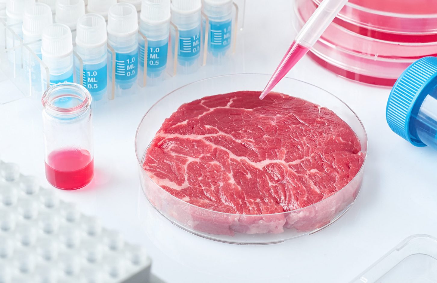 lab-grown meat