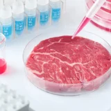 lab-grown meat