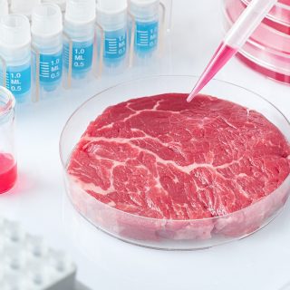 lab-grown meat