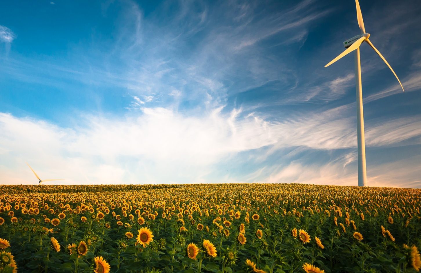 Seedrs climate tech crowdfunding energy startups