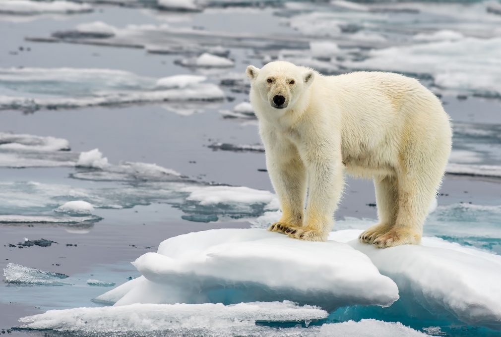 Climate tech leaders funding