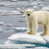 Climate tech leaders funding