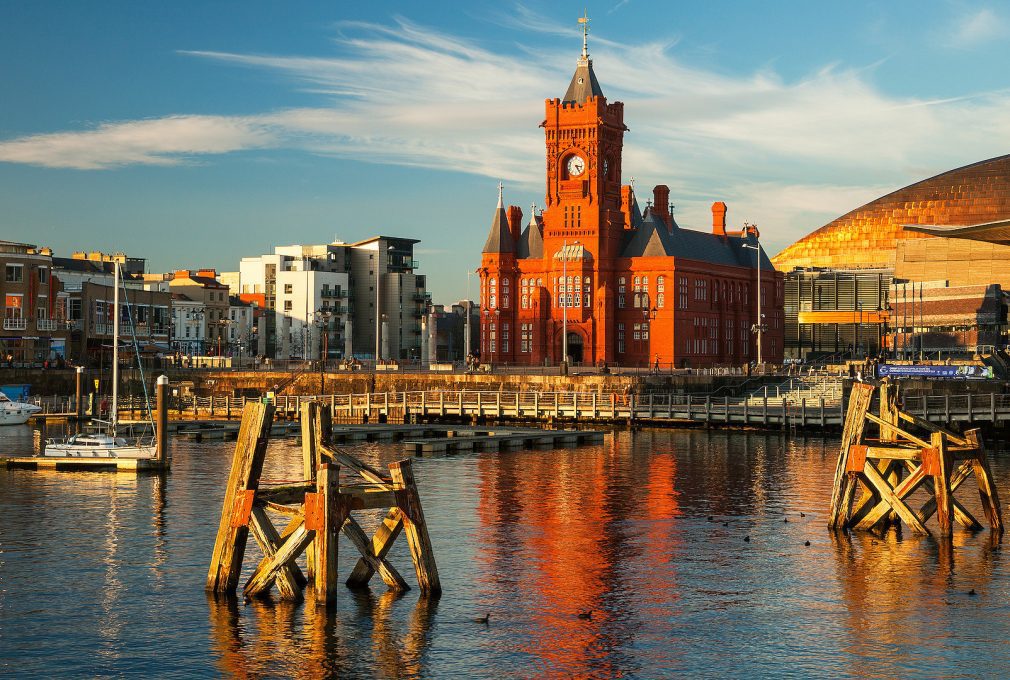 Wales tech job