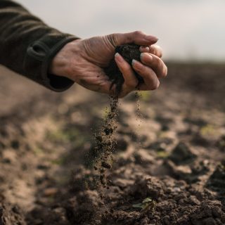 UNDO carbon capture