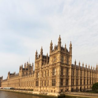 MPs AI