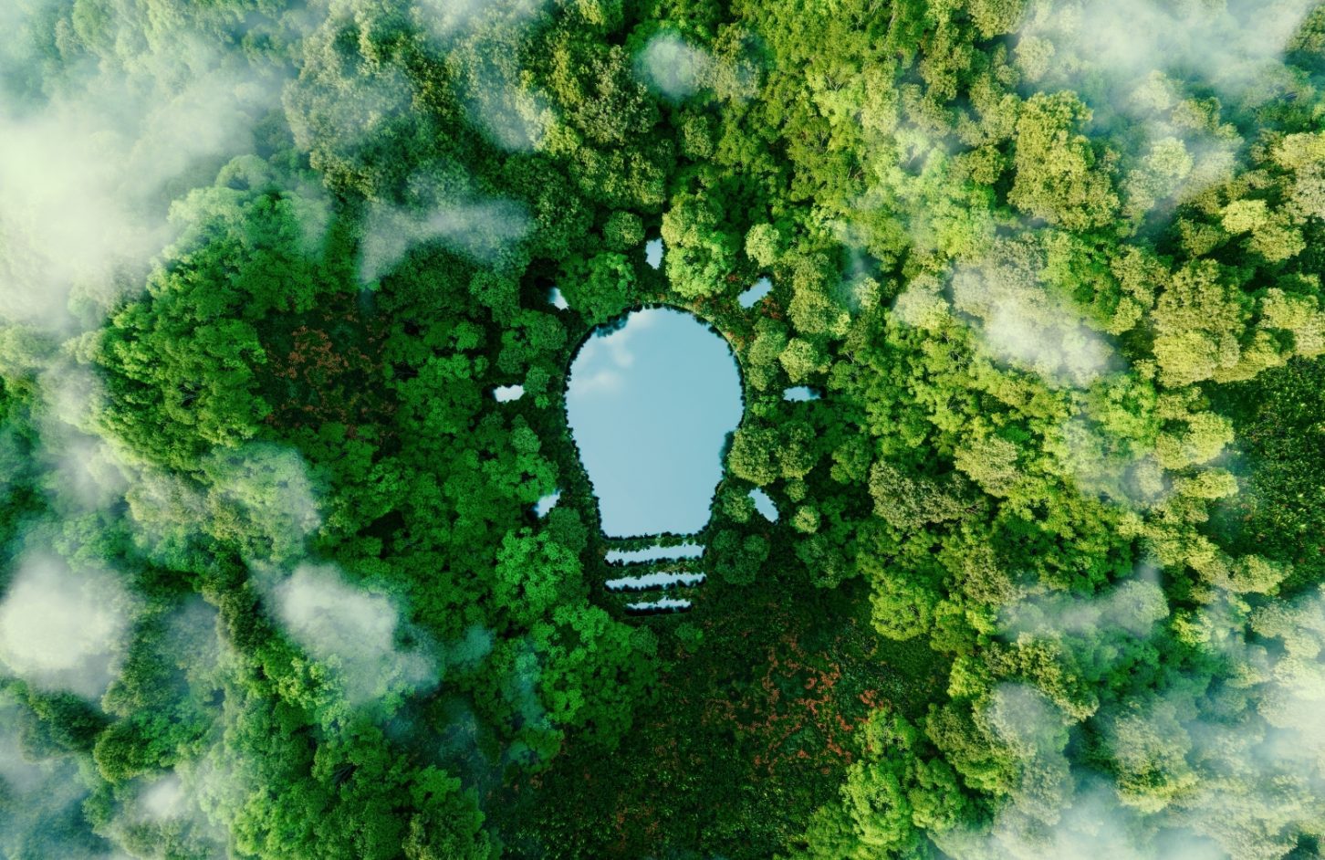 sustainable development