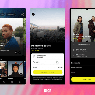 Dice