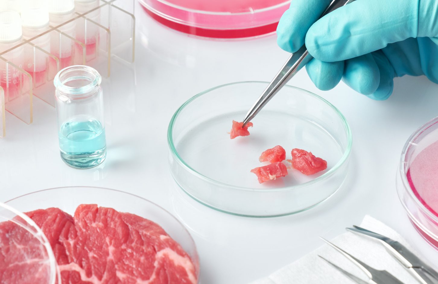government alternative meat