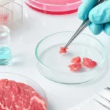 government alternative meat