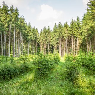 Revalue Nature