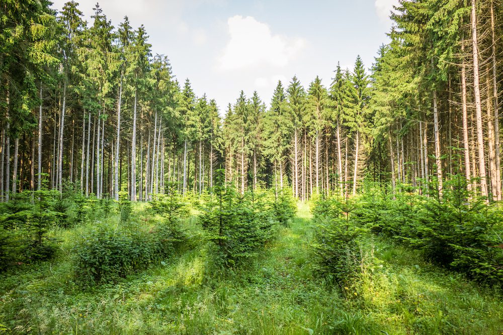 Revalue Nature